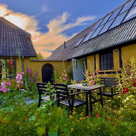 Bed & Breakfast Dyrlev 2*