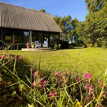 Bed & Breakfast Dyrlev