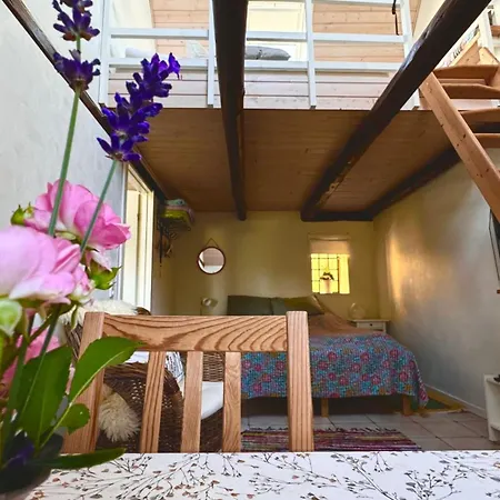 Bed and Breakfast Dyrlev